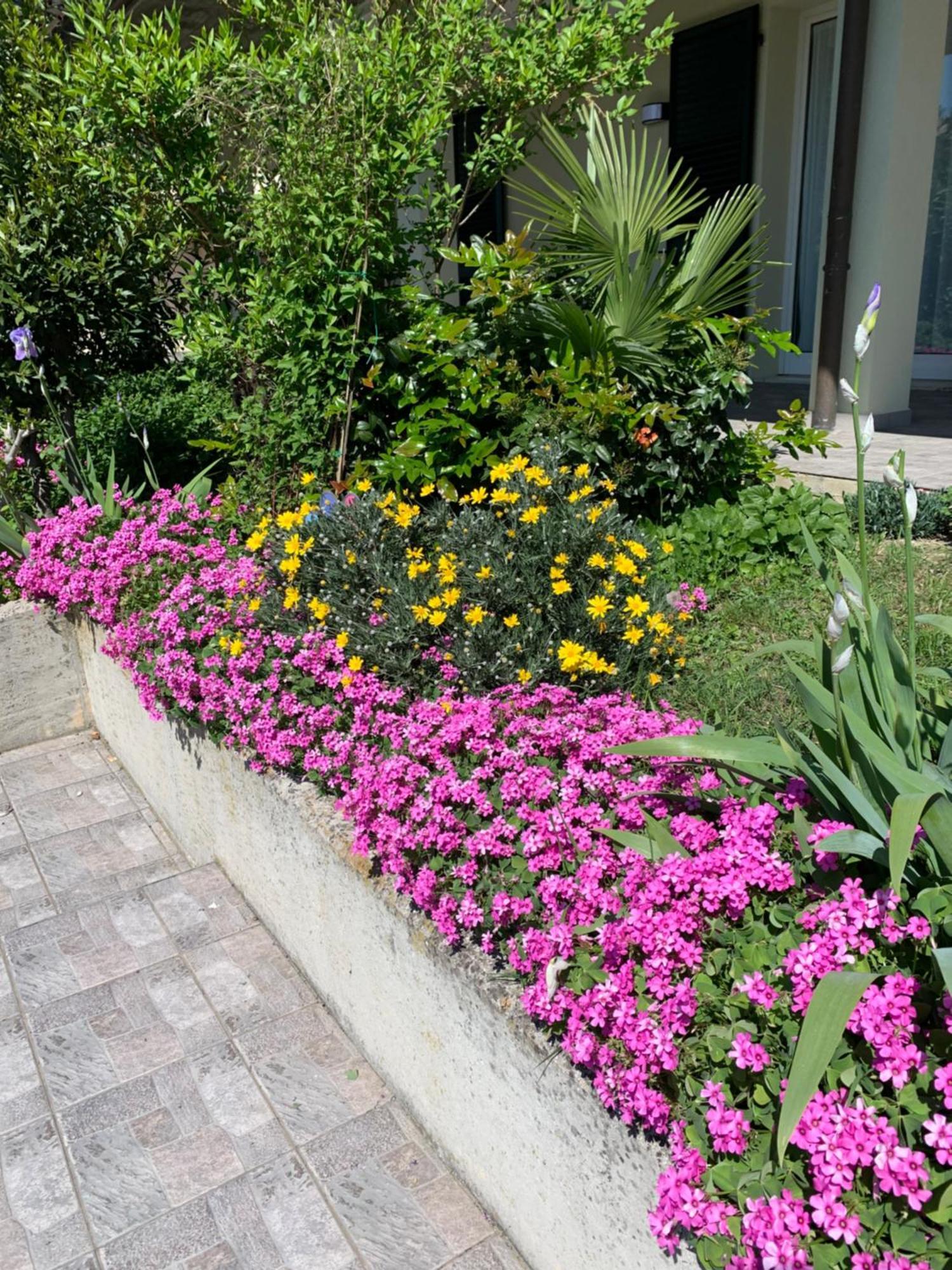 Cannuzzo B&B La Salina المظهر الخارجي الصورة