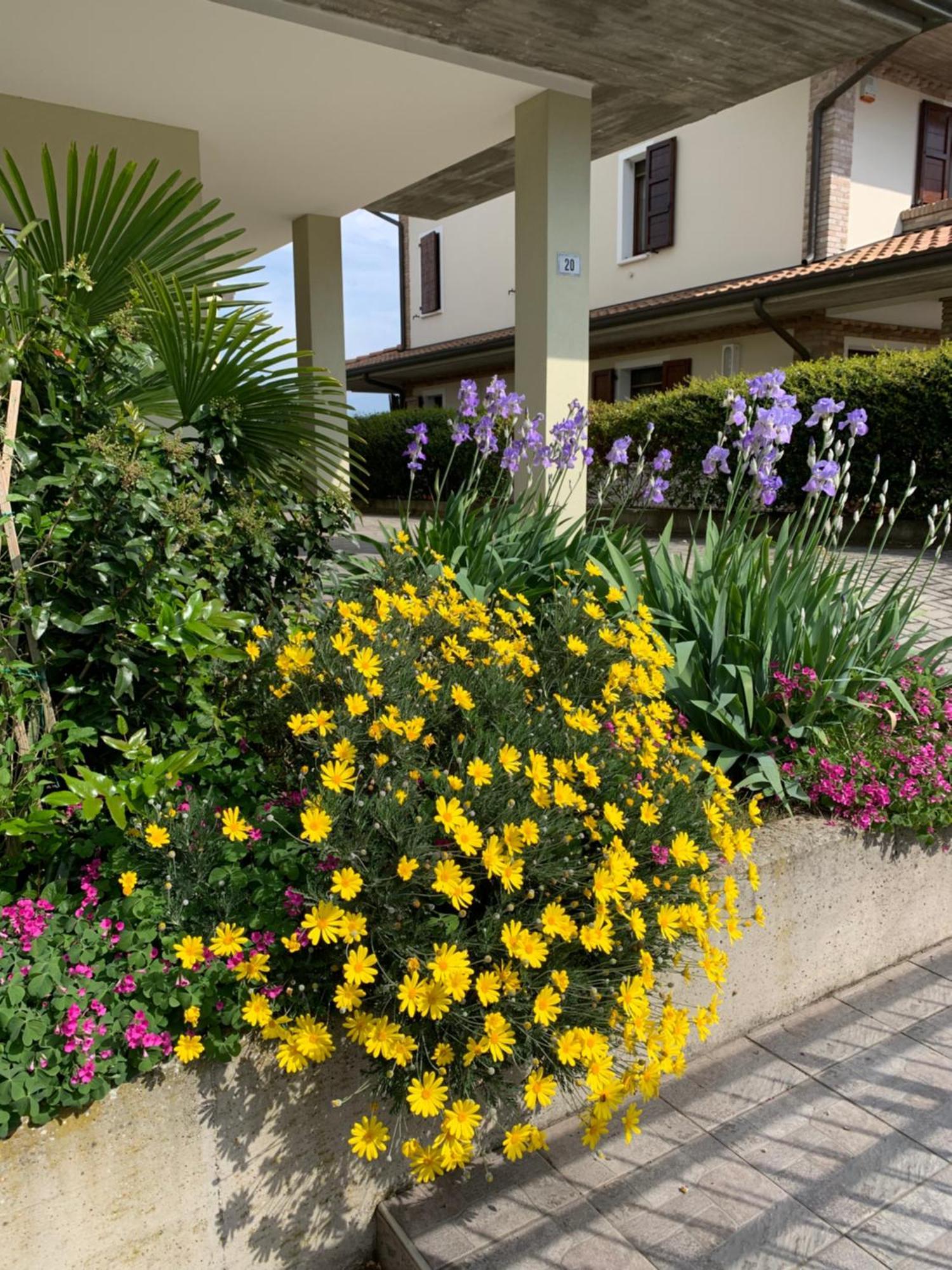 Cannuzzo B&B La Salina المظهر الخارجي الصورة